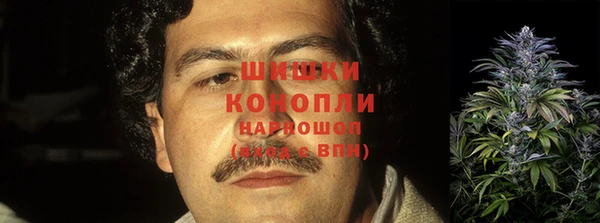 индика Новокубанск